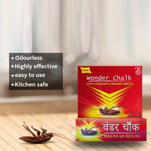 Strong Cockroach Chalk Cockroach Killer Insecticide Repellent Insect Control wonder chalk - Justgrabit Inc.