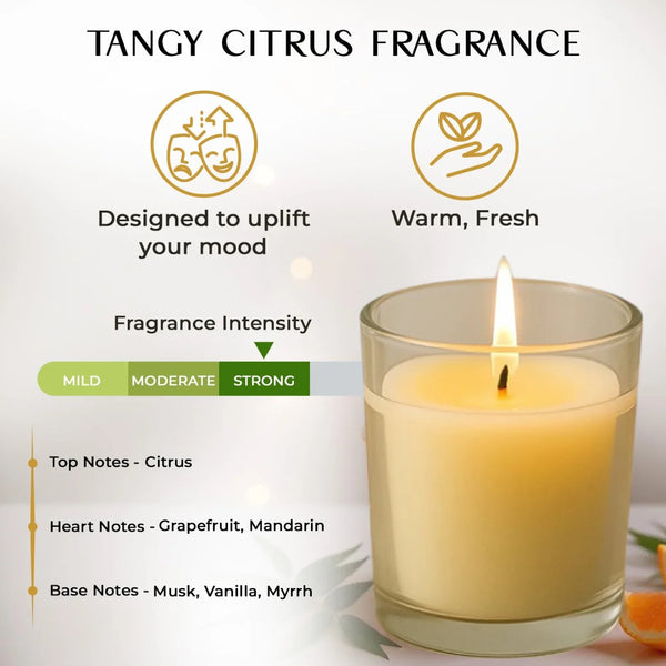 In'lief Blueberry Soy - Blend Votive Candle Glass – 50 gm (1 Pc) - justgrabit.in | Just Grab It