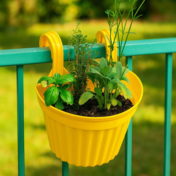 Multicolor Hanging Plastic Planters Orchid Relling , For Plantation, Planters for Balcony and Home Gardening, Indoor, Outdoor (1 Pc ) - Justgrabit Inc.