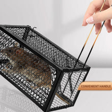 Foldable Live Mouse Trap – Easy Catch & Release Cage for Mice, Squirrels, Voles & Hamsters - justgrabit.in | Just Grab It