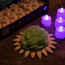 Pink Flameless LED Tealights Smokeless Decorative Candles LED Tea Light Pack of 24 - justgrabit.in | Just Grab It