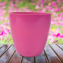 Plastic Flower Valencia (Pot) Home and Outdoor (1 Pc/Mix Colour) - Justgrabit Inc.