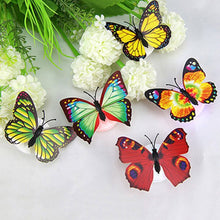The Butterfly 3D Night Lamp Comes with 3D Illusion Design Suitable for Drawing Room, Lobby. - justgrabit.in | Just Grab It