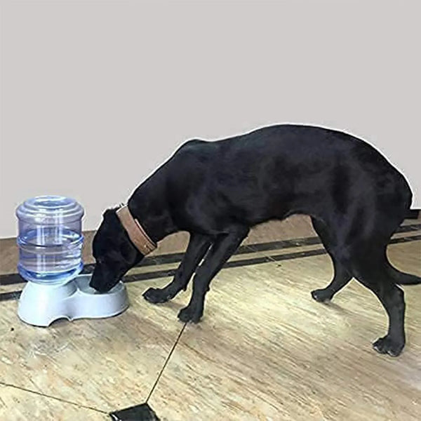 Automatic Pet Water Dispenser, Food Storage Bottle - justgrabit.in | Just Grab It