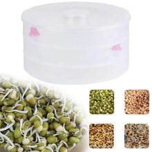 Plastic 3 Compartment Sprout Maker, White - Justgrabit Inc.
