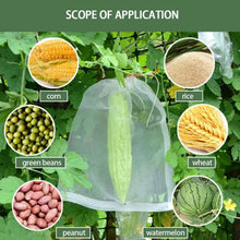 Protective Garden Barrier Cover for Bag, Plants, Grapes, Figs, Flowers, and Vegetables - Justgrabit Inc.