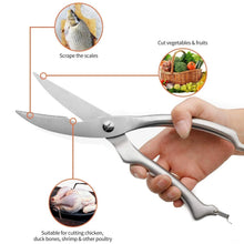 Heavy Duty Stainless Steel Poultry Shears, Premium Ultra Sharp Spring - Loaded Kitchen - justgrabit.in | Just Grab It
