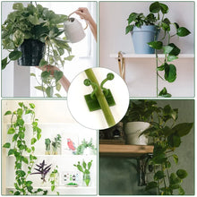 30pcs wall Plant Climbing Clip widely used for holding plants and poultry purposes and all (Box/30 Pcs Set) - Justgrabit Inc.