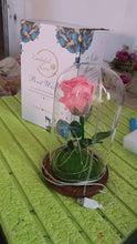 Glass Flower with Led Light Great Gift (1 Set) - justgrabit.in | Just Grab It