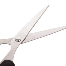 Stainless Steel Scissors with Plastic handle grip 160mm (1Pc Only) - Justgrabit Inc.