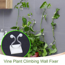 wall Plant Climbing Clip widely used for holding plants and poultry purposes and all (30 Pcs Set) - Justgrabit Inc.