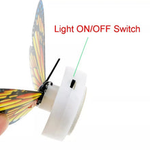 The Butterfly 3D Night Lamp Comes with 3D Illusion Design Suitable for Drawing Room, Lobby. - Justgrabit Inc.