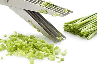Stainless Steel 5 - Blade Herb Scissors - justgrabit.in | Just Grab It