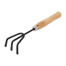 Hand Cultivator (Steel, Black) - Justgrabit Inc.