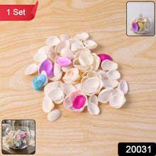 Decorative Seashells Set (1 Set) - justgrabit.in | Just Grab It