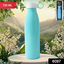 Stainless Steel Water Bottle (750 ML / 1 Pc) - Justgrabit Inc.