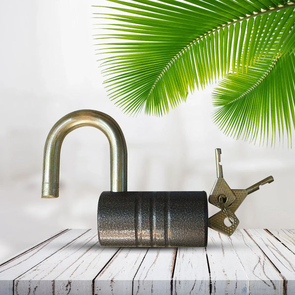 Heavy - Duty Iron Padlock – 82mm Black Spray Lock with Brass Core & 5 Keys, Waterproof & Anti - Theft - Justgrabit Inc.