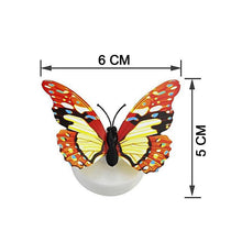 The Butterfly 3D Night Lamp Comes with 3D Illusion Design Suitable for Drawing Room, Lobby. - justgrabit.in | Just Grab It