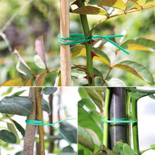 Plastic Twist Tie Wire Spool With Cutter For Garden Yard Plant 30m (Green) - Justgrabit Inc.