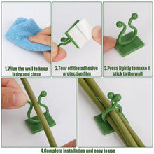 30pcs wall Plant Climbing Clip widely used for holding plants and poultry purposes and all (Box/30 Pcs Set) - Justgrabit Inc.