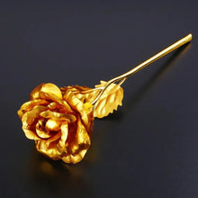 Golden Rose & Necklace Set Perfect Gift Set - Justgrabit Inc.