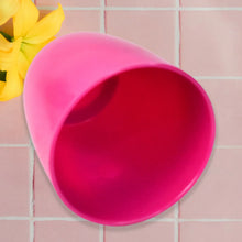 Plastic Flower Valencia (Pot) Home and Outdoor (1 Pc/Mix Colour) - Justgrabit Inc.