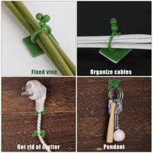 Money Plant Support Clips Vine Plant (10 Pcs Set) - justgrabit.in | Just Grab It