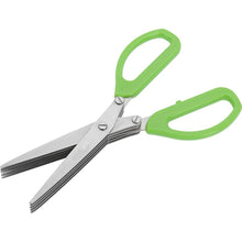 Stainless Steel 5 - Blade Herb Scissors - justgrabit.in | Just Grab It