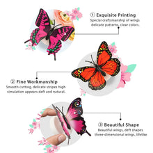 The Butterfly 3D Night Lamp Comes with 3D Illusion Design Suitable for Drawing Room, Lobby. - Justgrabit Inc.