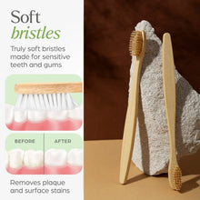 Eco - Friendly Natural Bamboo Toothbrush with Medium Bristles (2 Pc) - Justgrabit Inc.