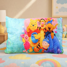 Soft Plush Cartoon Character Kids Pillow (40 x 25 Cm / 1 Pc) - justgrabit.in | Just Grab It