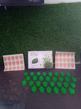 Plant Climbing Wall Fixture Clip Self - Adhesive Hook Vines Traction Invisible Stand Green Plant Clip Garden Wall Clip Plant Support Binding Clip Plants for Indoor Outdoor Decoration (30 Pcs Set) - Justgrabit Inc.