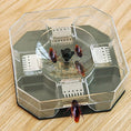 Cockroach Traps Box Cockroach Bug Roach Catcher Cockroach Killer - Justgrabit Inc.