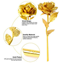 Golden Rose & Necklace Set Perfect Gift Set - Justgrabit Inc.