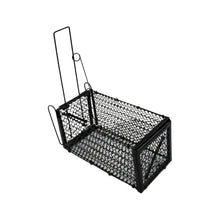 Foldable Live Mouse Trap – Easy Catch & Release Cage for Mice, Squirrels, Voles & Hamsters - justgrabit.in | Just Grab It