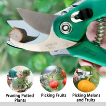 Stainless Steel Garden Scissors, flower cutter - justgrabit.in | Just Grab It
