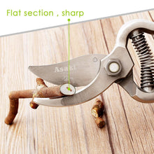 Garden Shears Pruners Scissor, flower cutter (8 inch) - justgrabit.in | Just Grab It