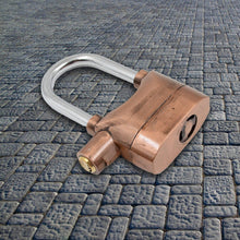 Security Alarm Metallic Lock System with 3 Keys (1 Set / Mix Color) - justgrabit.in | Just Grab It