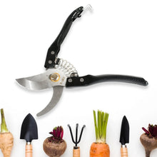Gardening Tools - Garden Shears Pruners Scissor (1 Pc) - justgrabit.in | Just Grab It