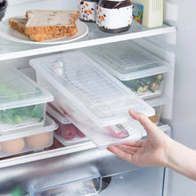 Food Storage Container with Removable Drain Plate and Lid, 1500 ml (Pack of 1 Pc) - Justgrabit Inc.
