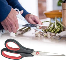 Scissor Set (2 pcs) - Justgrabit Inc.