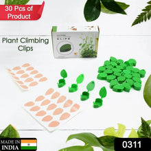 Plant Climbing Wall Fixture Clip Self - Adhesive Hook Vines Traction Invisible Stand Green Plant Clip Garden Wall Clip Plant Support Binding Clip Plants for Indoor Outdoor Decoration (30 Pcs Set) - Justgrabit Inc.