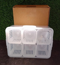 Fridge Storage Boxes Freezer Storage Containers, Container for Kitchen Storage Set, Storage in Kitchen, Vegetable Storage, Draining Crisper Refrigerator Food Box (1 Pc) - justgrabit.in | Just Grab It