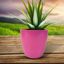 Plastic Flower Valencia (Pot) Home and Outdoor (1 Pc/Mix Colour) - Justgrabit Inc.