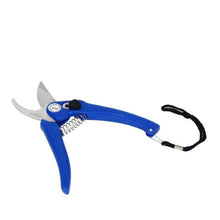 Stainless Steel Garden Scissors, flower cutter - justgrabit.in | Just Grab It