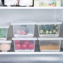 Food Storage Container with Removable Drain Plate and Lid, 1500 ml (Pack of 1 Pc) - Justgrabit Inc.