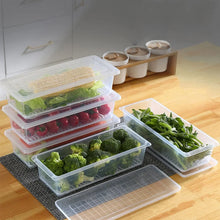 Food Storage Container with Removable Drain Plate and Lid, 1500 ml (Pack of 1 Pc) - Justgrabit Inc.