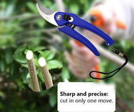 Stainless Steel Garden Scissors, flower cutter - justgrabit.in | Just Grab It