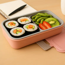 BPA - Free Snack Pack - 2 Lunch Box – 2 - Compartment - Justgrabit Inc.