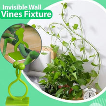 30pcs wall Plant Climbing Clip widely used for holding plants and poultry purposes and all (Box/30 Pcs Set) - Justgrabit Inc.